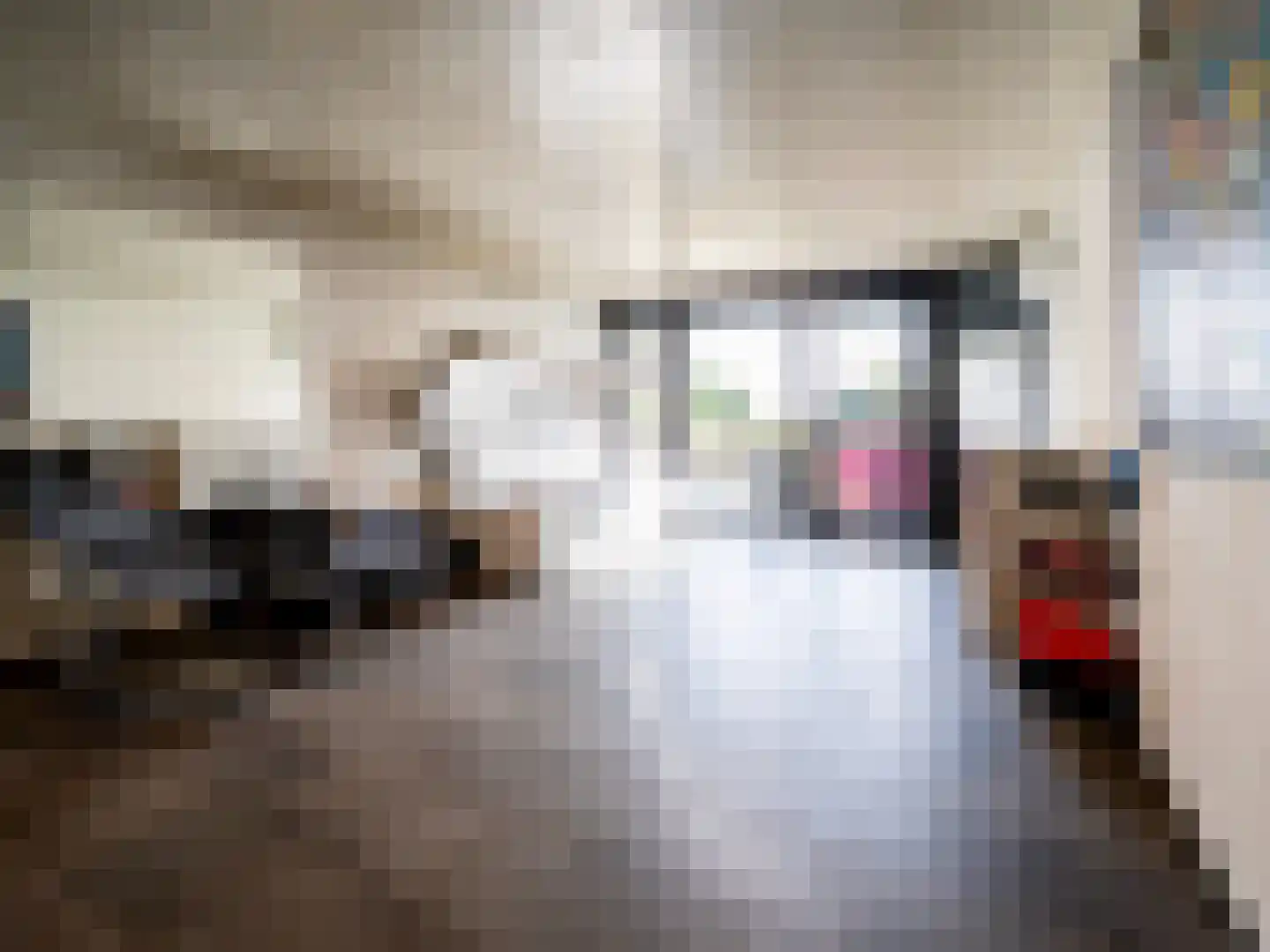 De Poppe 70 de Lutte thumbnail 47