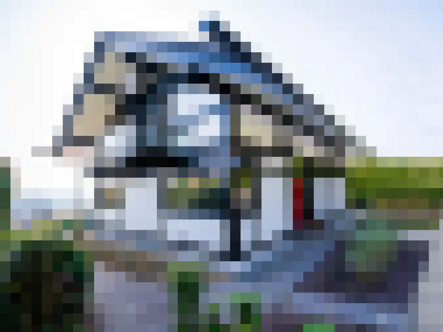De Poppe 70 de Lutte thumbnail 6