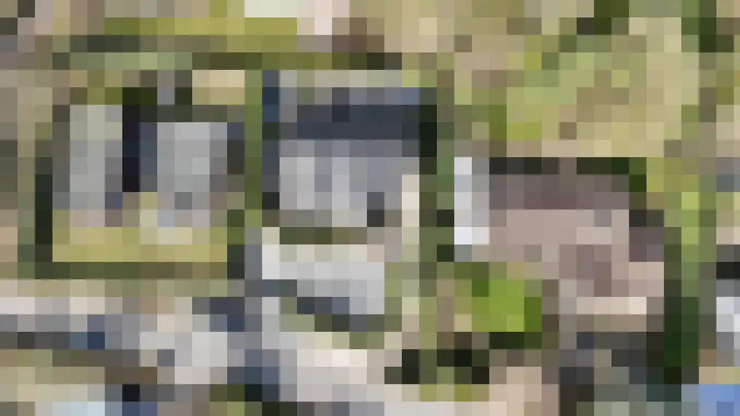 De Poppe 70 de Lutte thumbnail 7