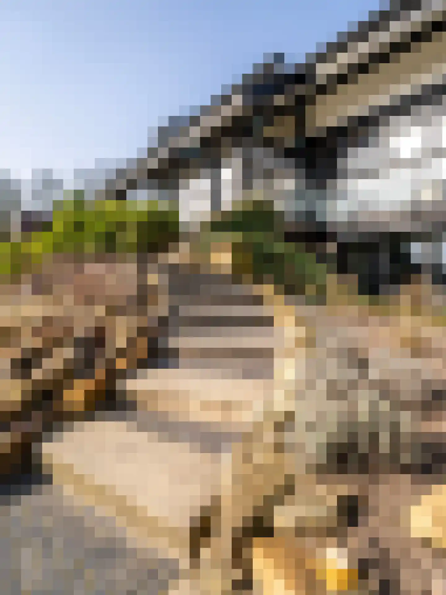 De Poppe 70 de Lutte thumbnail 8