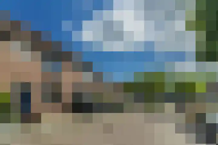 de Populier 9 Benthuizen thumbnail 44