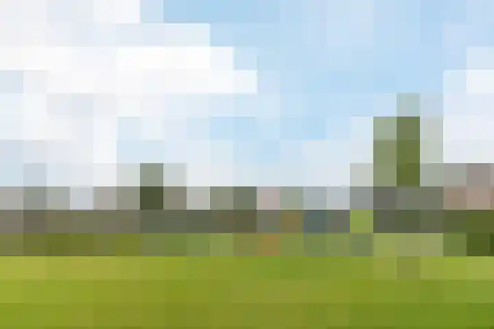 de Populier 9 Benthuizen thumbnail 46