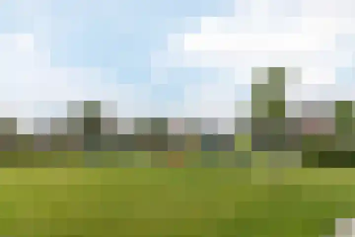 de Populier 9 Benthuizen thumbnail 47