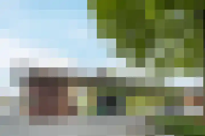 de Populier 9 Benthuizen thumbnail 48