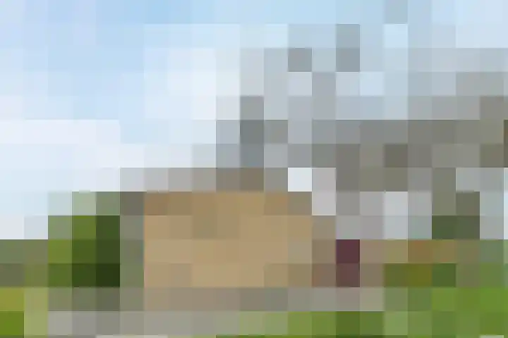 de Populier 9 Benthuizen thumbnail 49