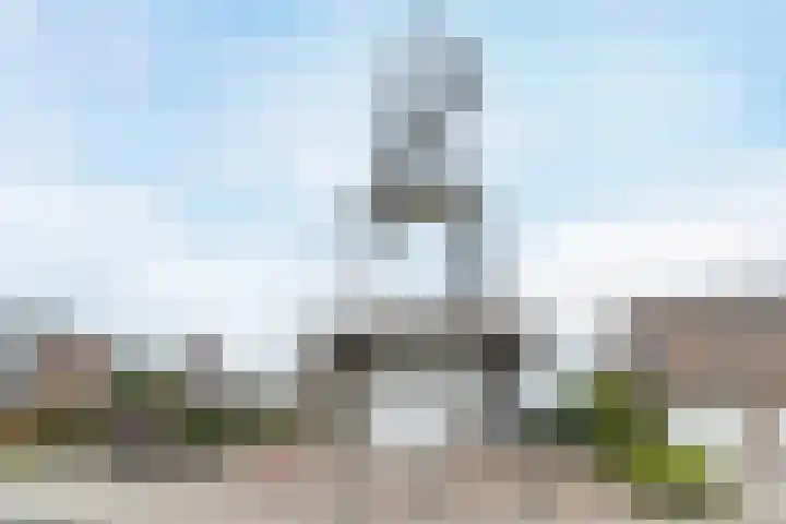 de Populier 9 Benthuizen thumbnail 50