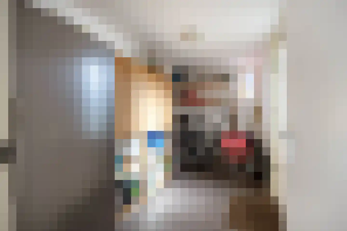 De Populieren 1 Bedum thumbnail 17