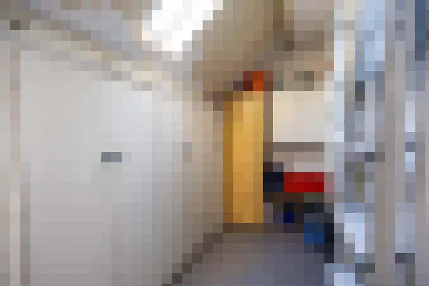 De Populieren 1 Bedum thumbnail 29