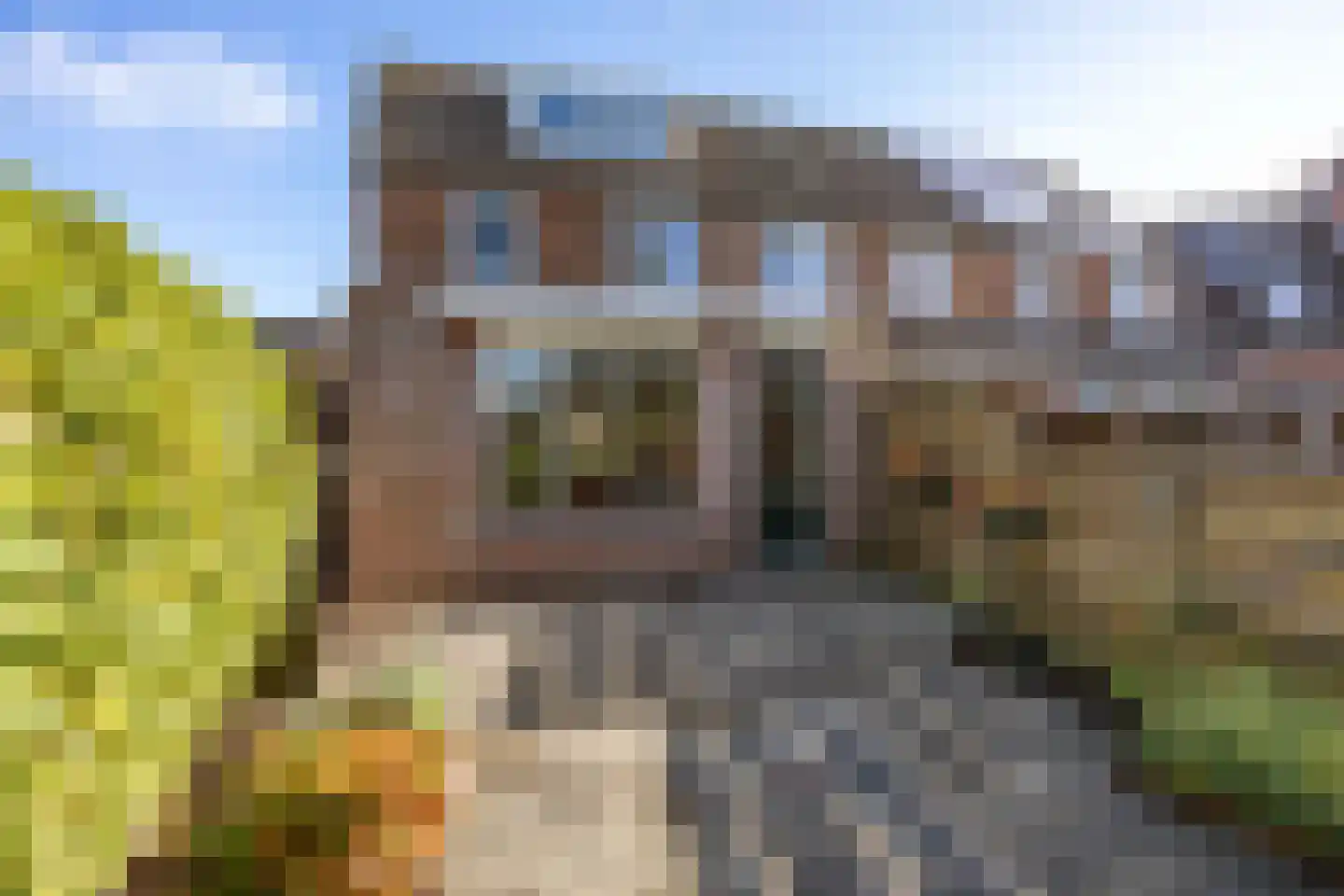 De Populieren 1 Bedum thumbnail 35