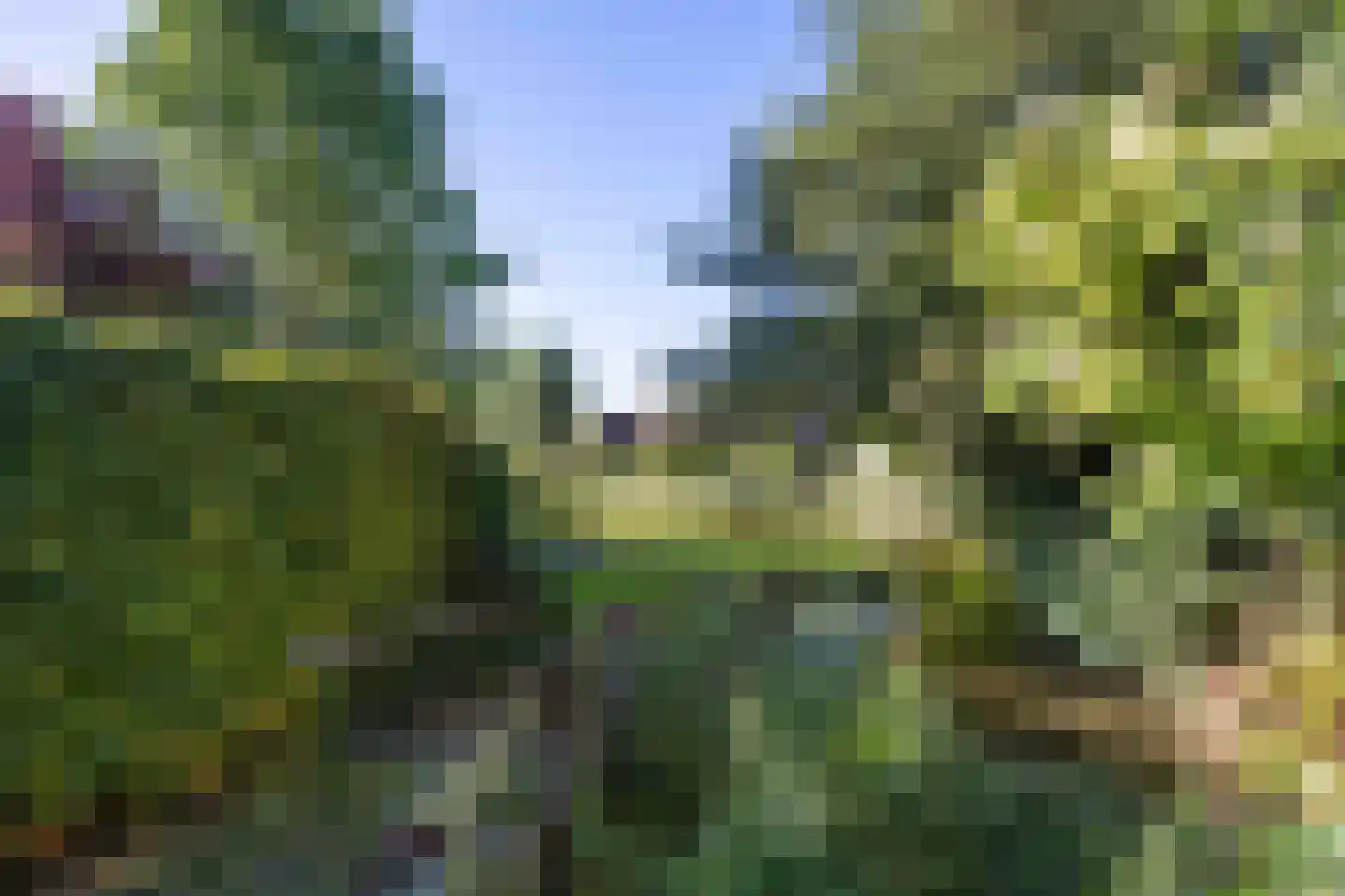 De Populieren 1 Bedum thumbnail 36