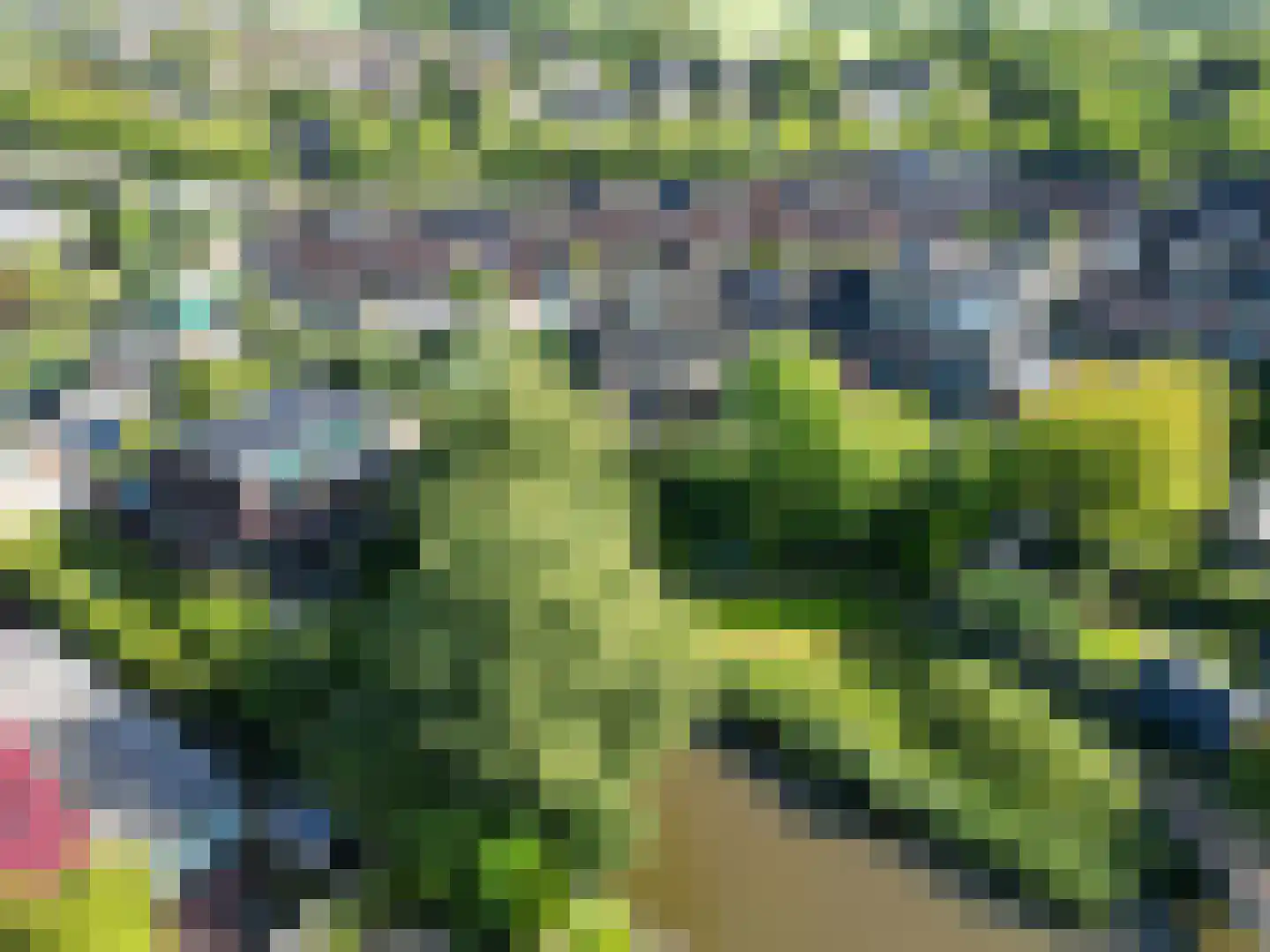 De Populieren 1 Bedum thumbnail 38