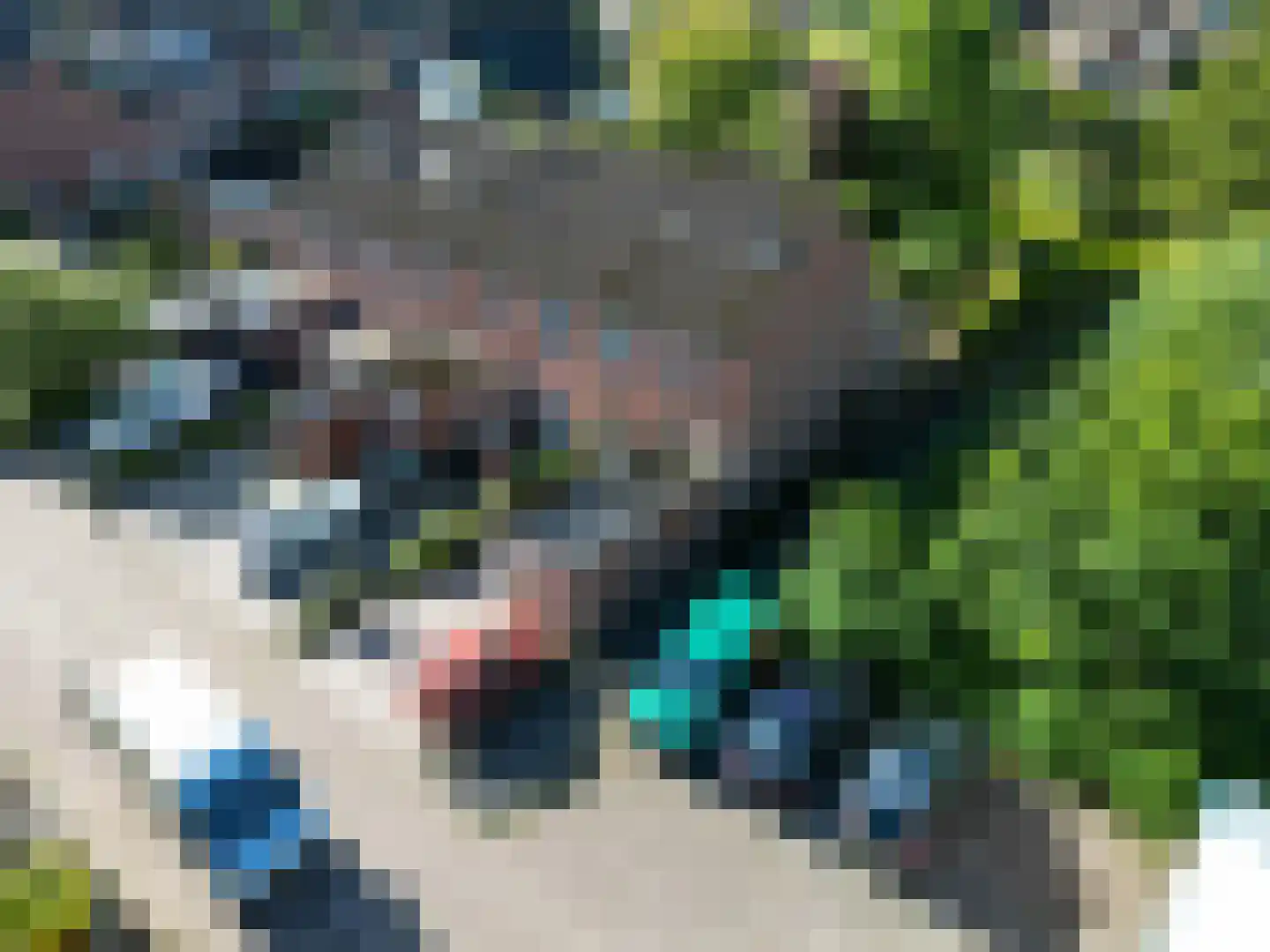 De Populieren 1 Bedum thumbnail 40