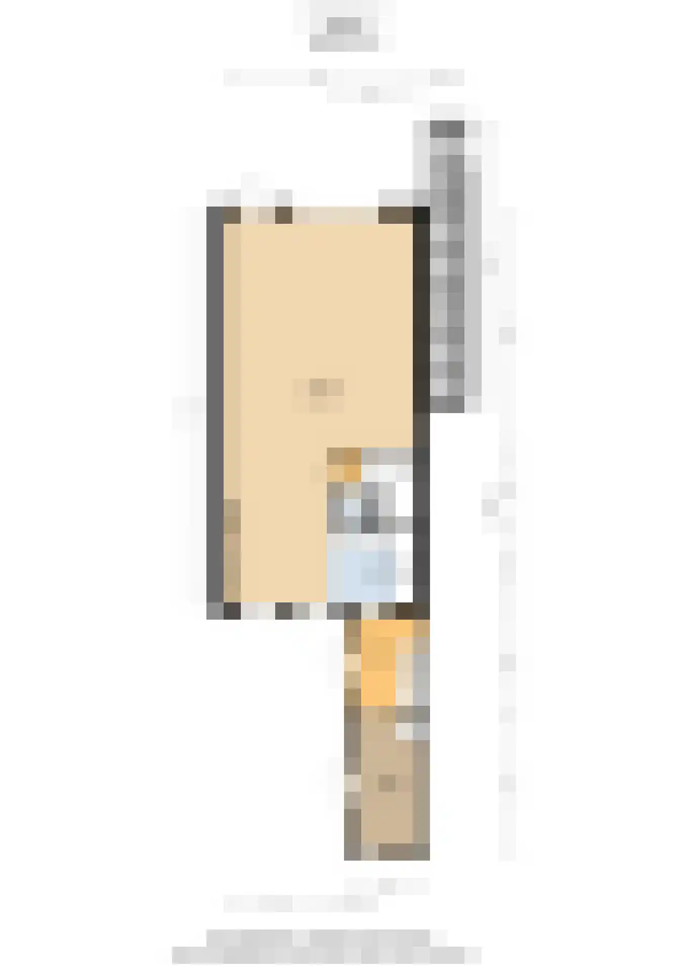 De Populieren 1 Bedum thumbnail 42