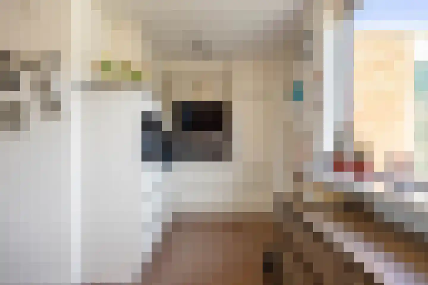 De Populieren 1 Bedum thumbnail 6