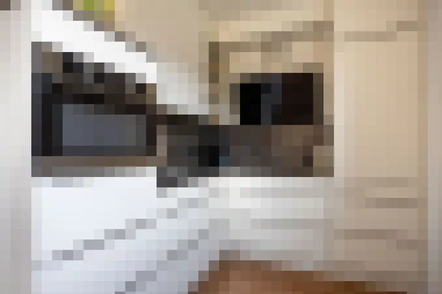 De Populieren 1 Bedum thumbnail 7
