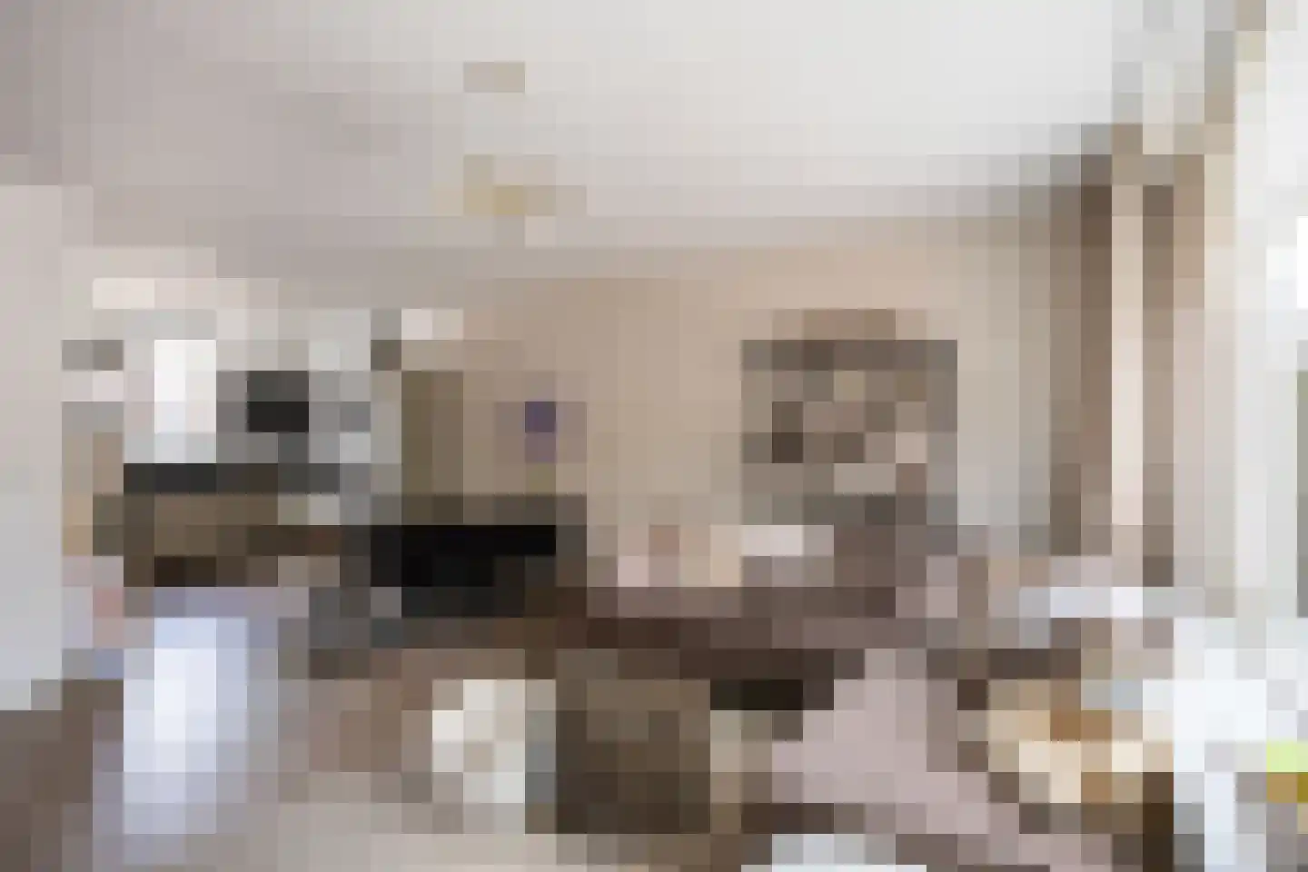De Populieren 15 Bedum thumbnail 13