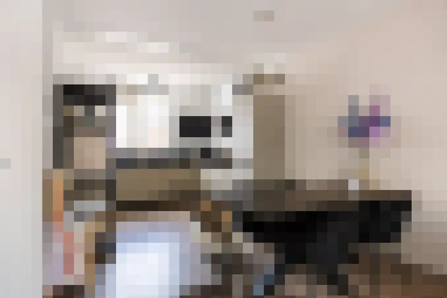 De Populieren 15 Bedum thumbnail 14