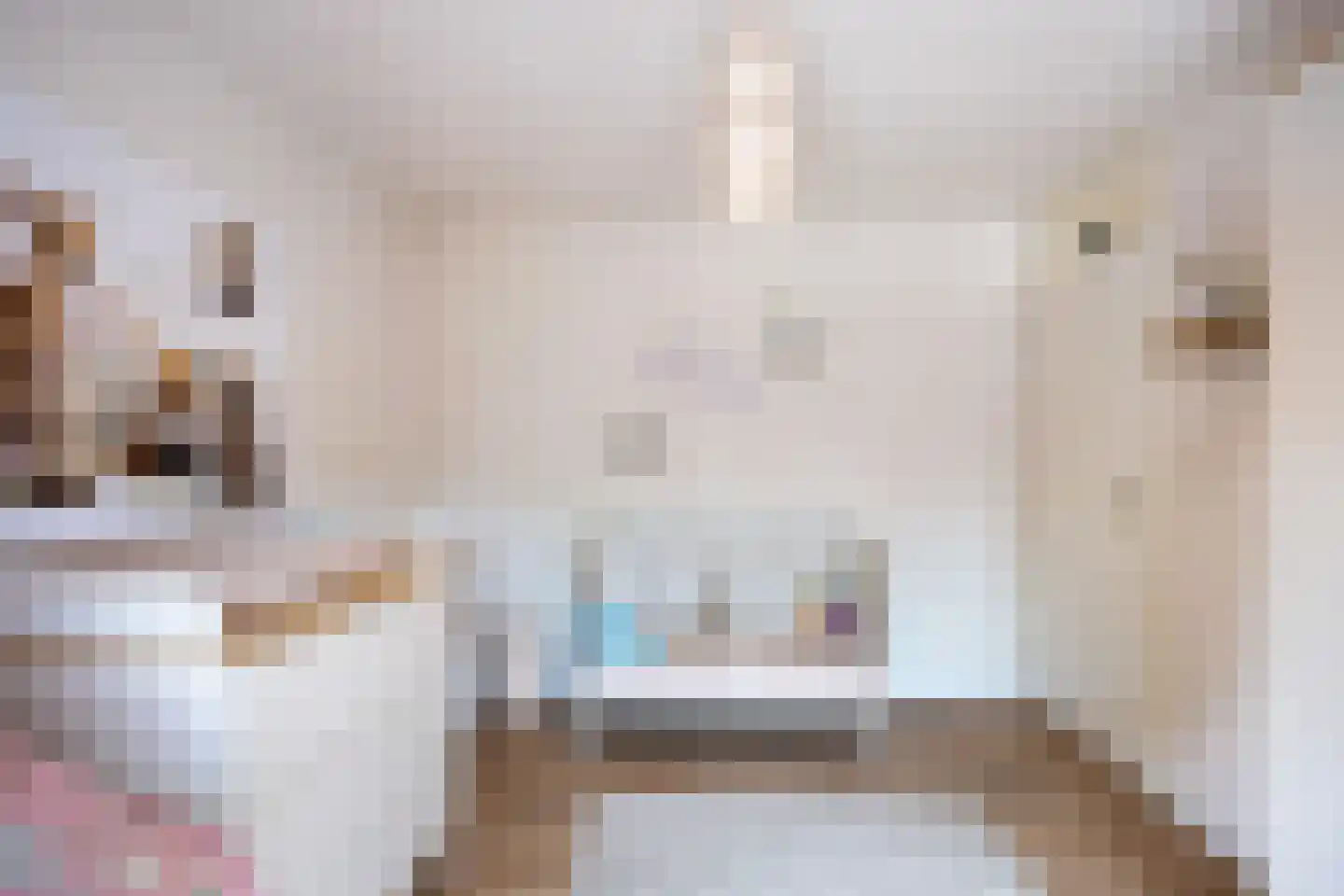 De Populieren 15 Bedum thumbnail 27