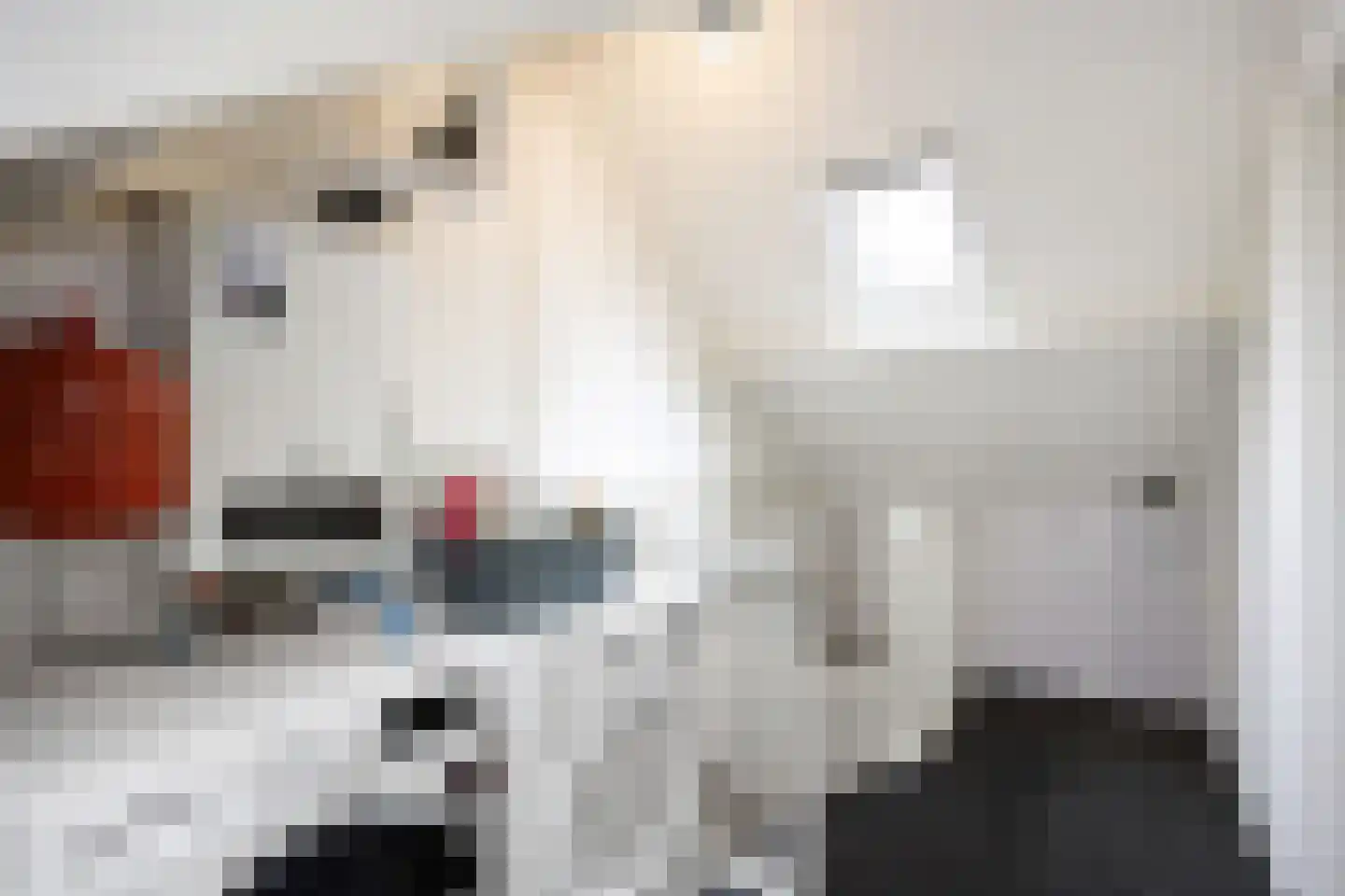 De Populieren 15 Bedum thumbnail 34