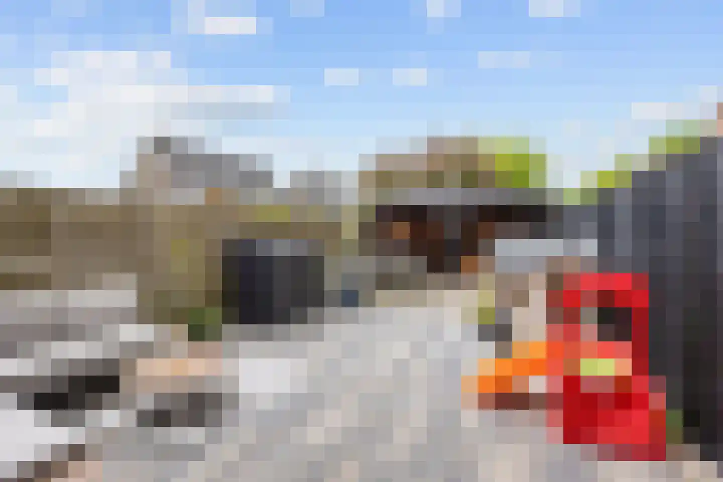 De Populieren 15 Bedum thumbnail 38