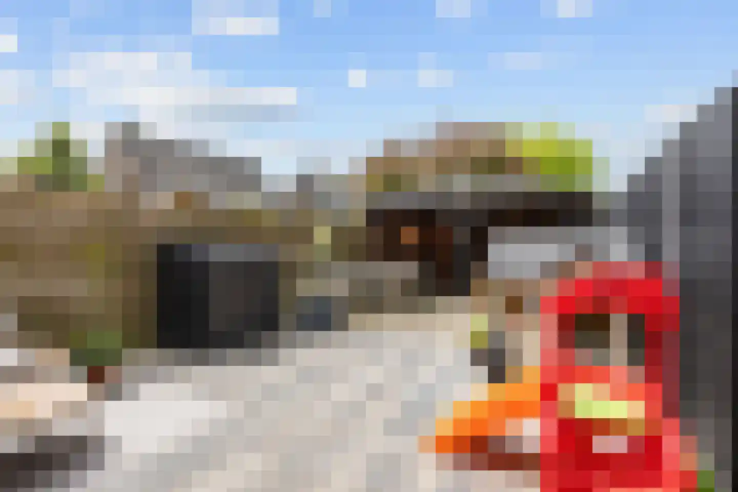 De Populieren 15 Bedum thumbnail 39