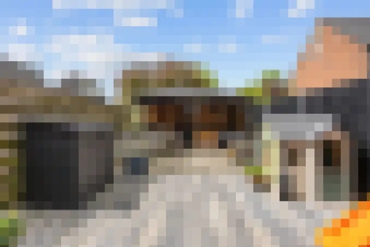 De Populieren 15 Bedum thumbnail 40