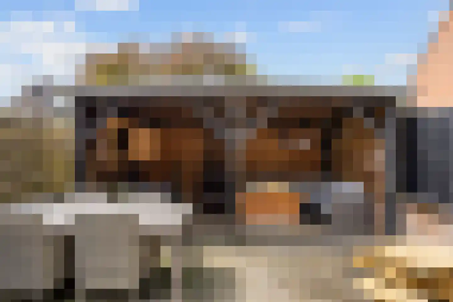 De Populieren 15 Bedum thumbnail 43