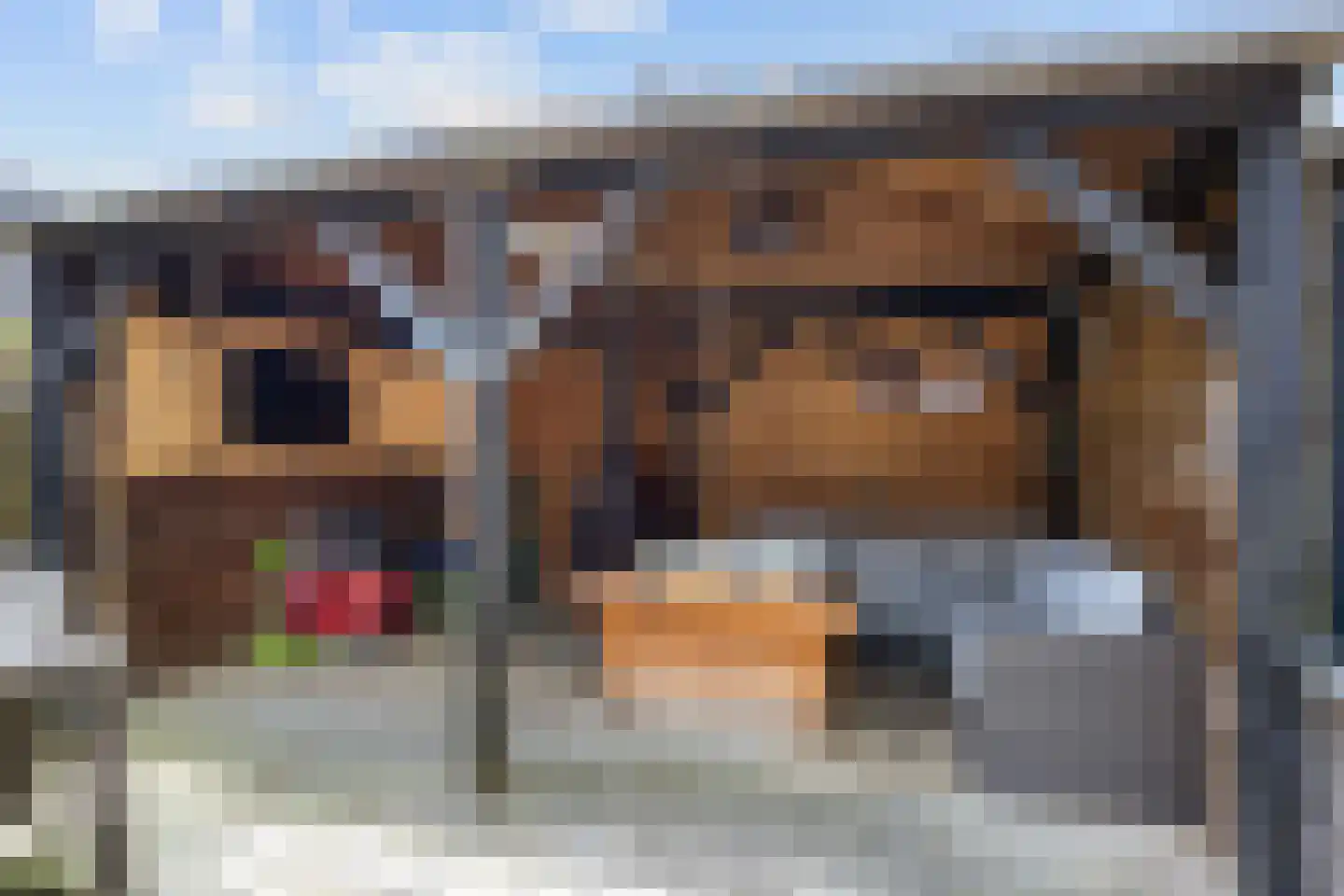De Populieren 15 Bedum thumbnail 44