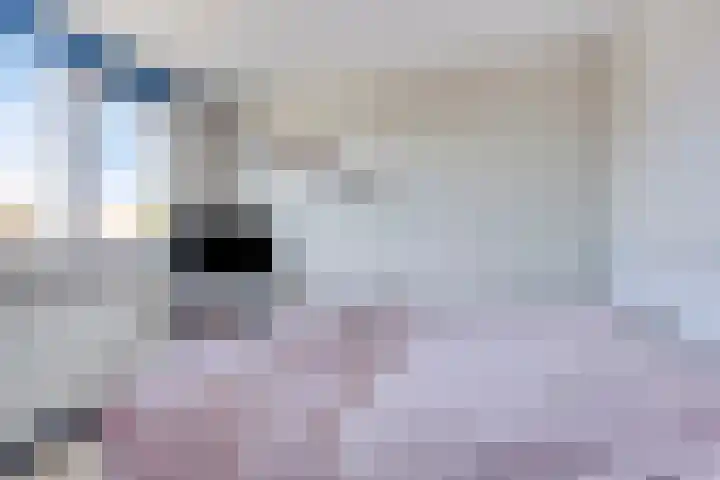 De Populieren 18 Bedum thumbnail 11
