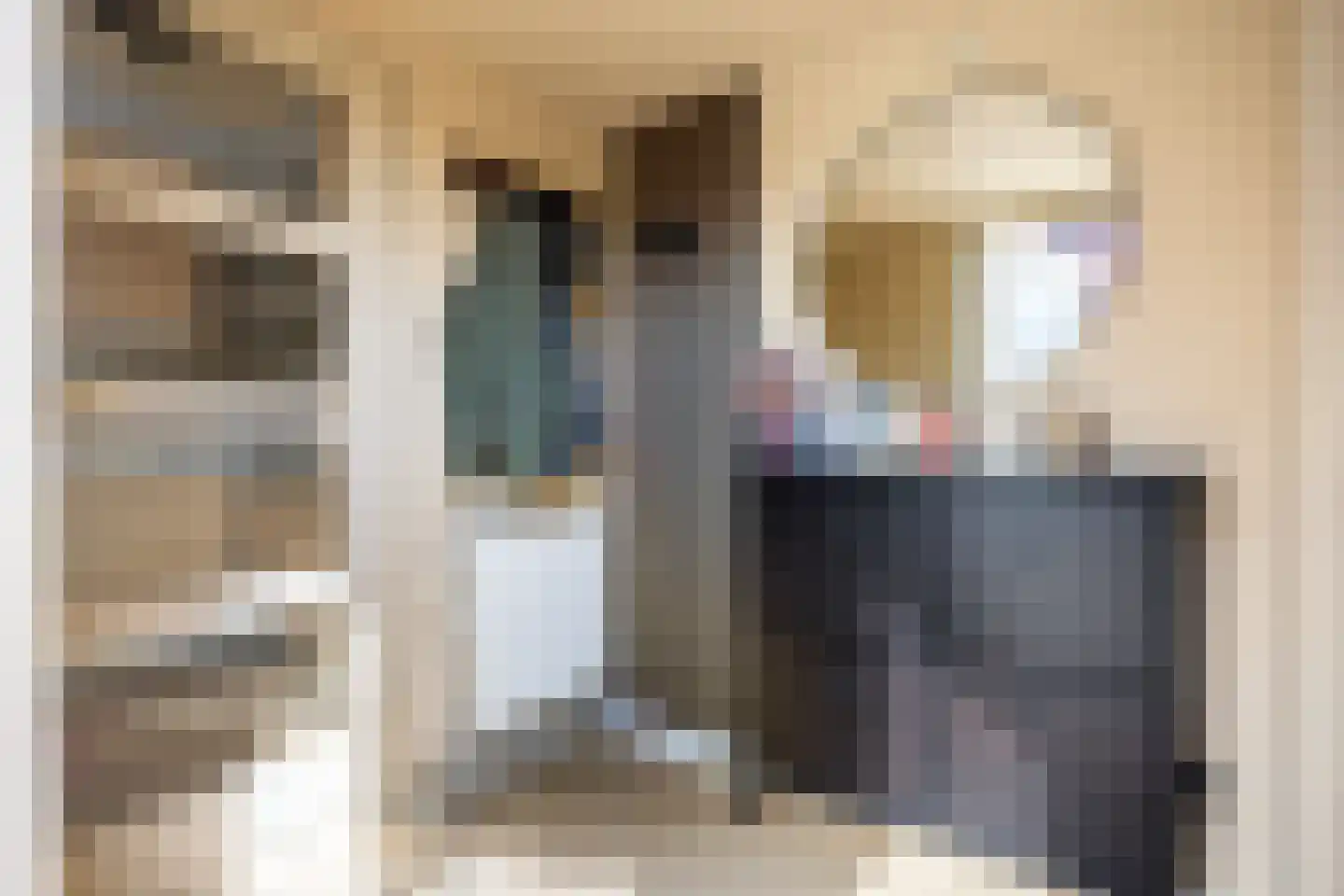 De Populieren 18 Bedum thumbnail 11