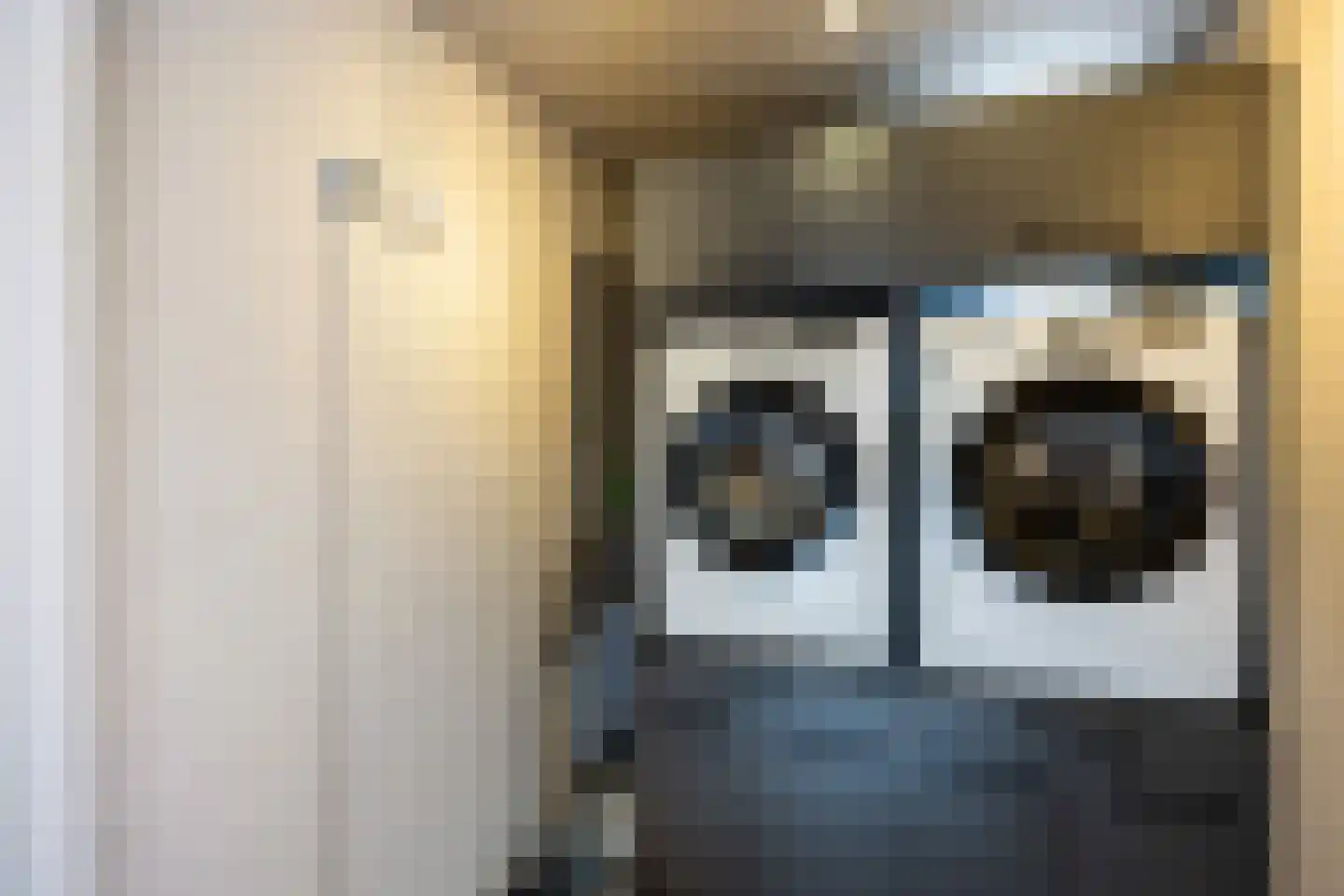 De Populieren 18 Bedum thumbnail 13