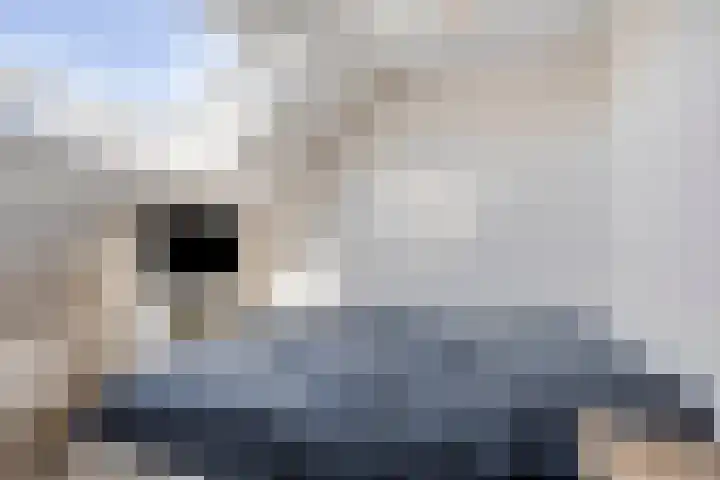 De Populieren 18 Bedum thumbnail 17