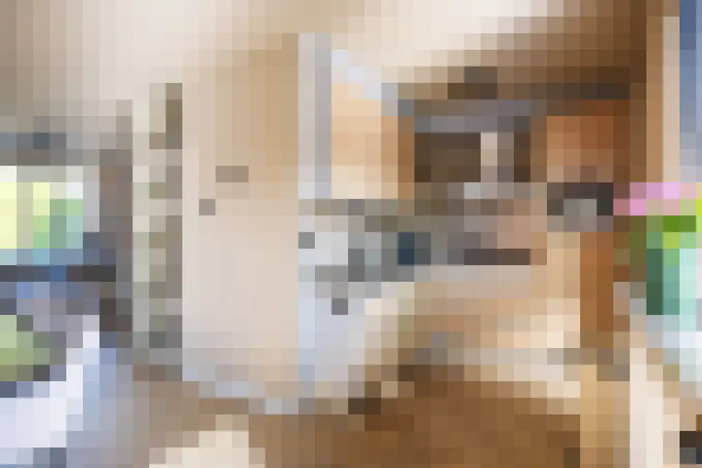 De Populieren 18 Bedum thumbnail 17