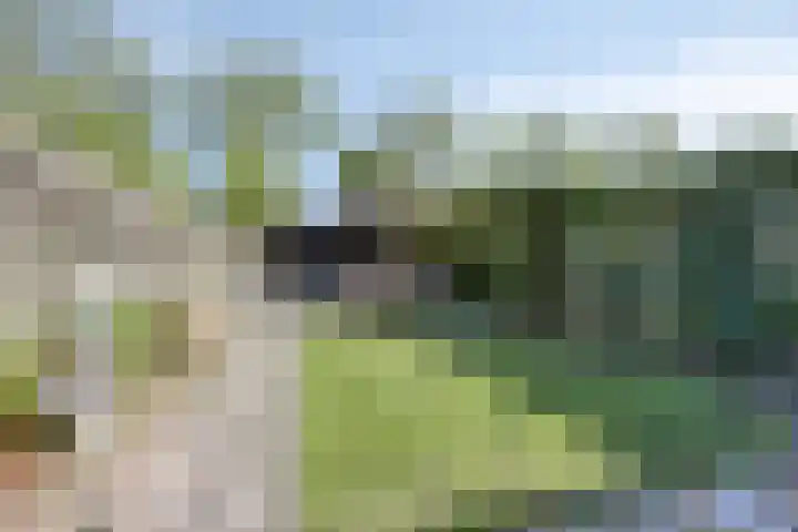 De Populieren 18 Bedum thumbnail 18