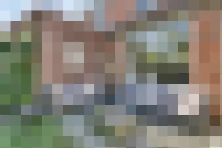 De Populieren 18 Bedum thumbnail 19