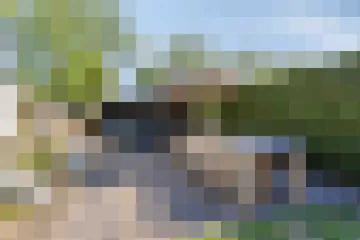 De Populieren 18 Bedum thumbnail 20