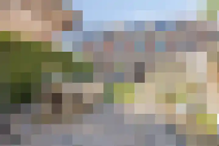 De Populieren 18 Bedum thumbnail 21