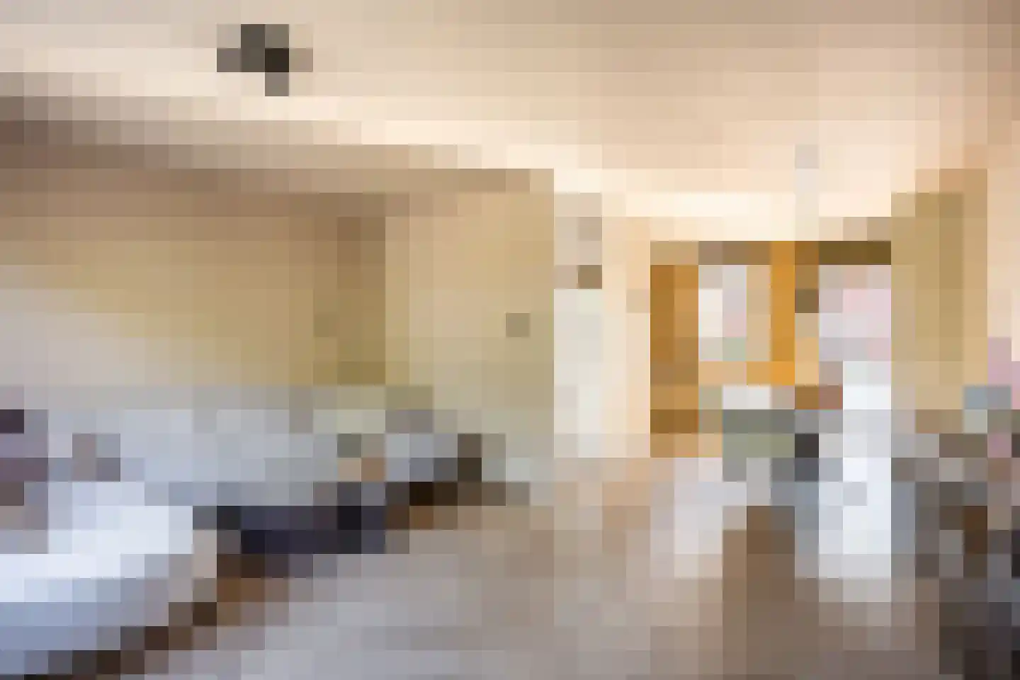 De Populieren 18 Bedum thumbnail 21