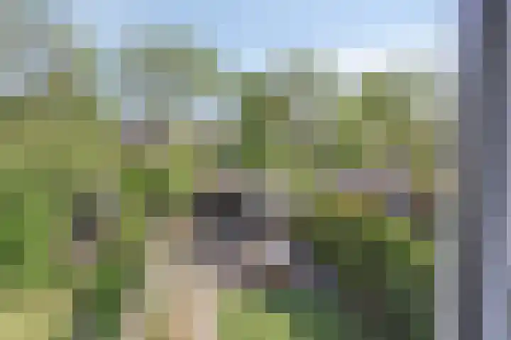 De Populieren 18 Bedum thumbnail 22