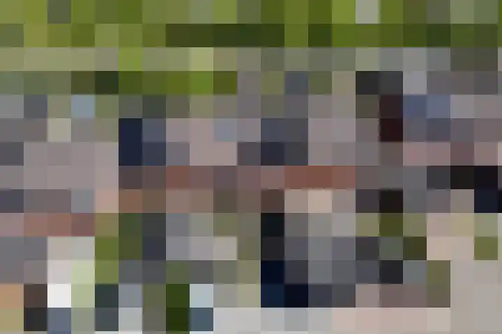 De Populieren 18 Bedum thumbnail 24