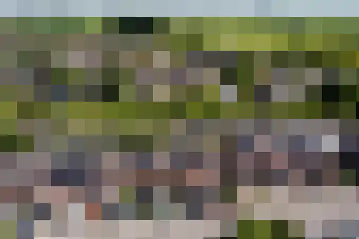 De Populieren 18 Bedum thumbnail 26