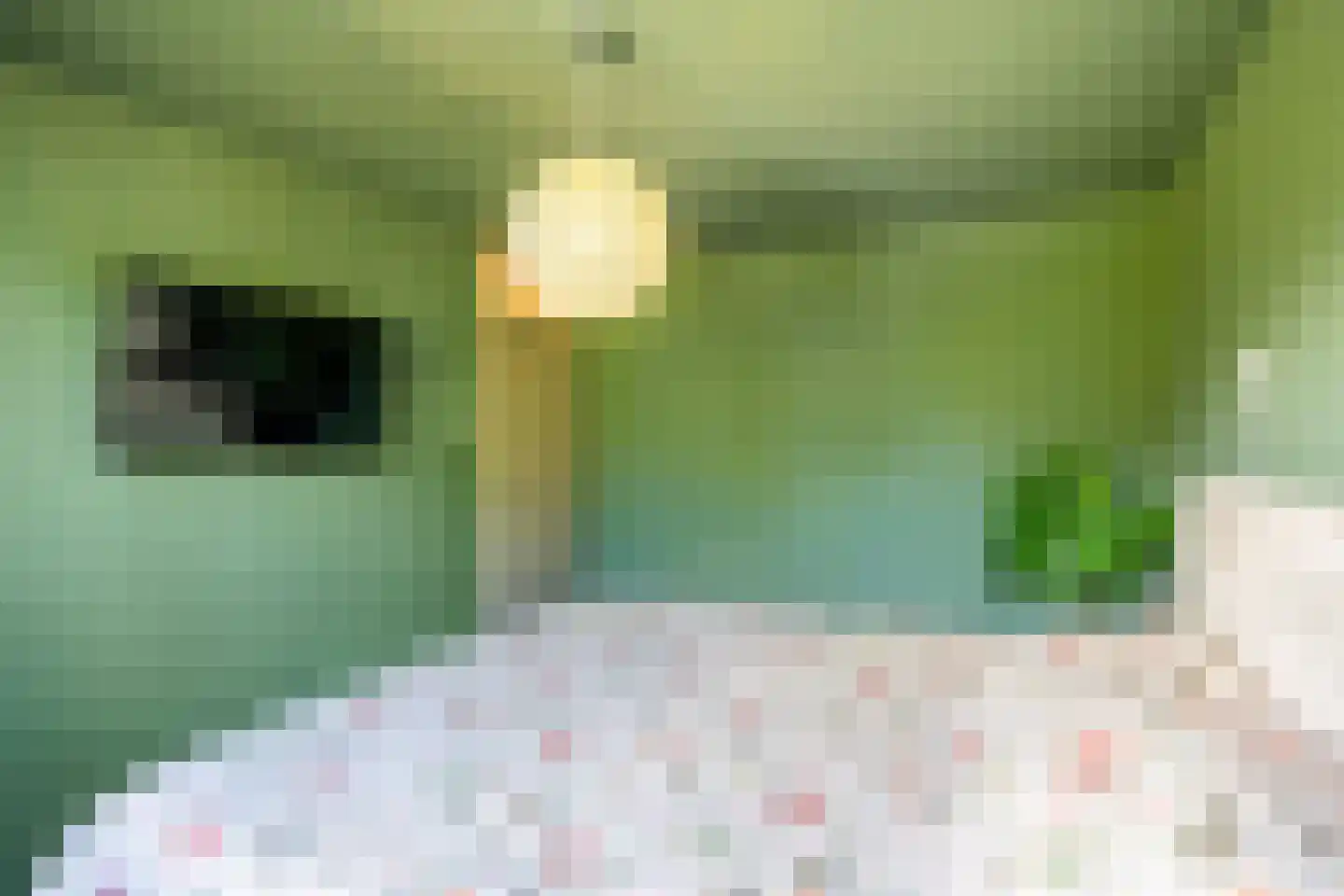 De Populieren 18 Bedum thumbnail 27