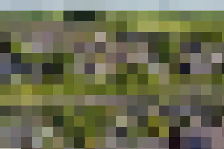 De Populieren 18 Bedum thumbnail 27