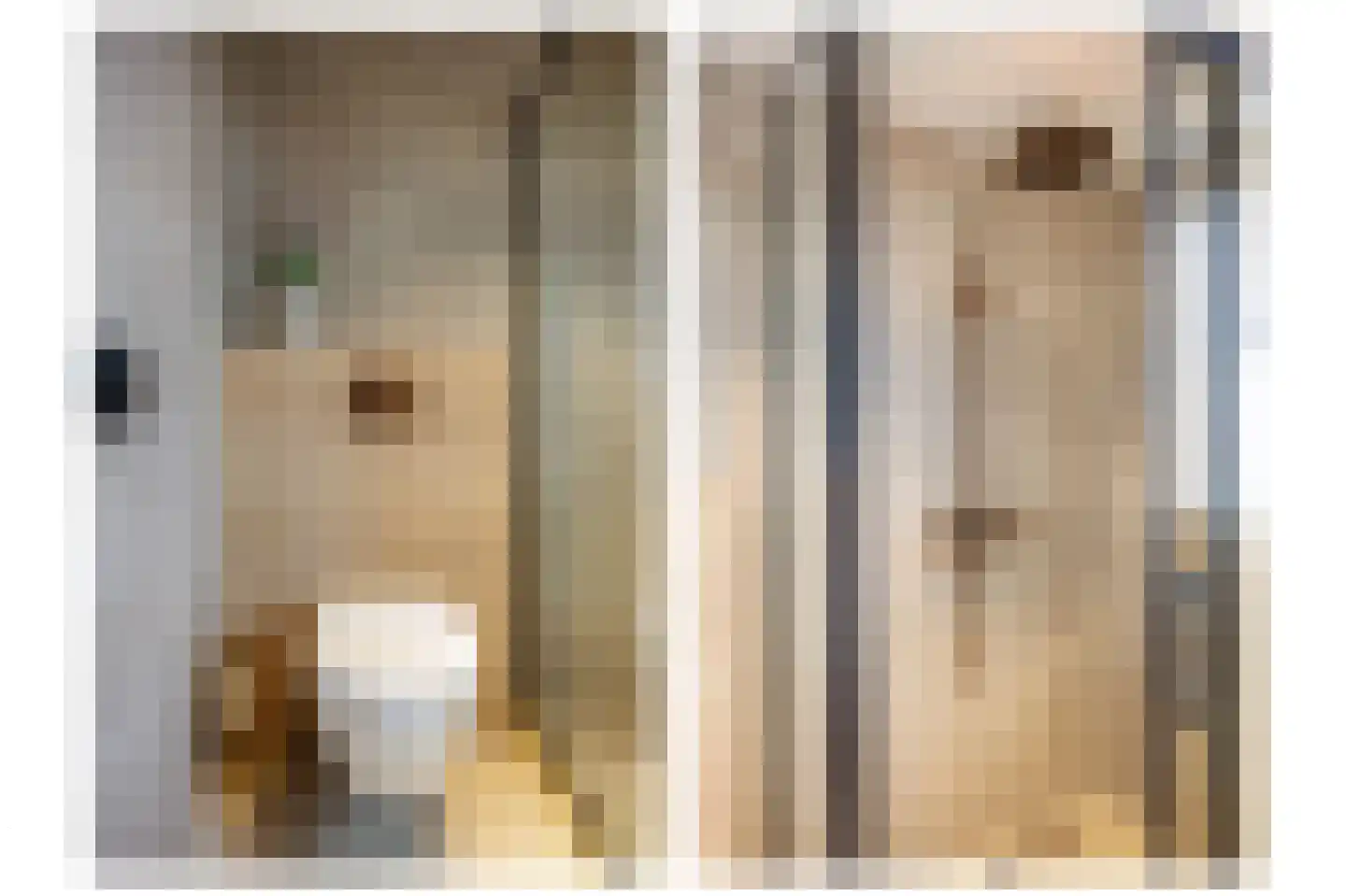 De Populieren 18 Bedum thumbnail 35