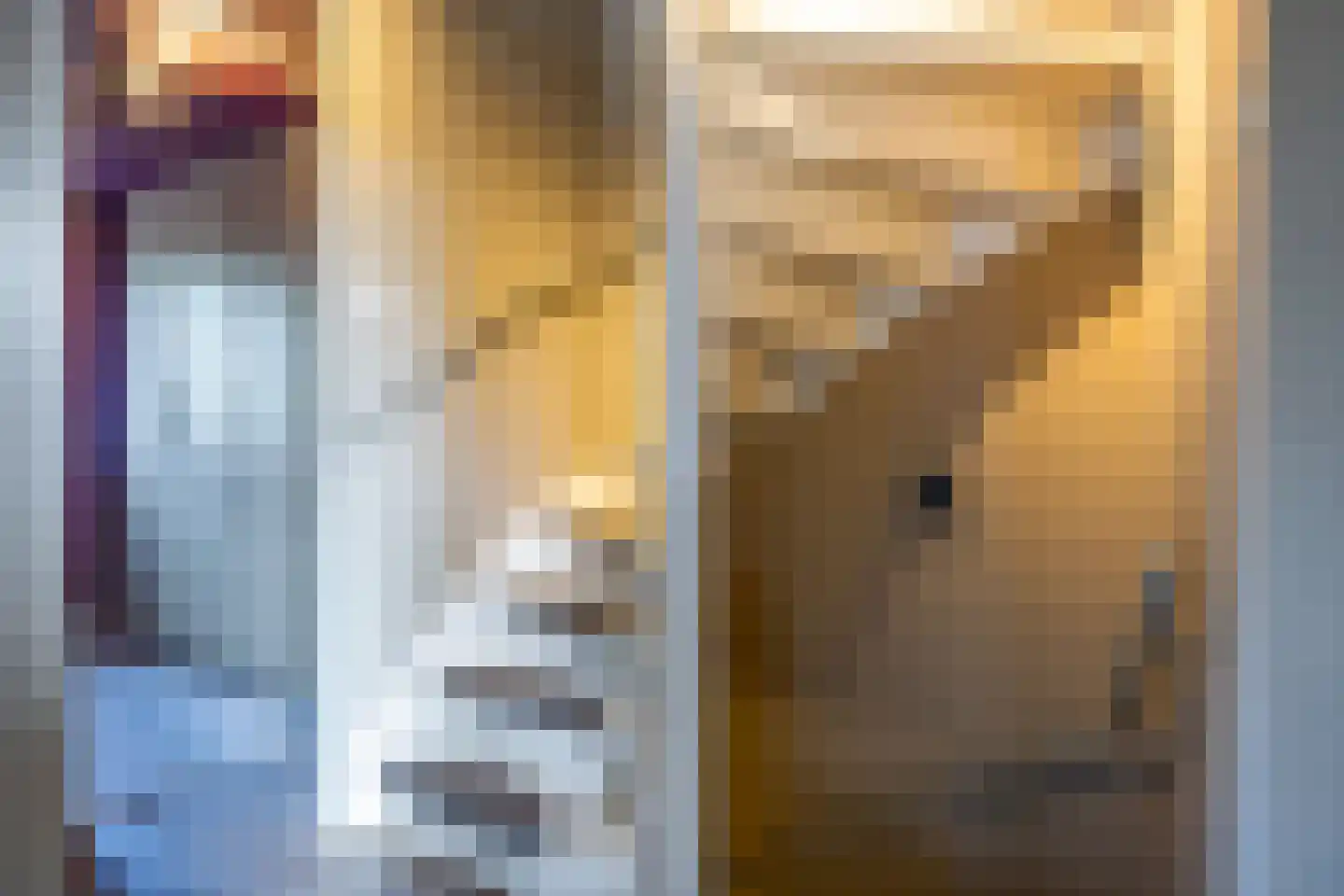 De Populieren 18 Bedum thumbnail 36