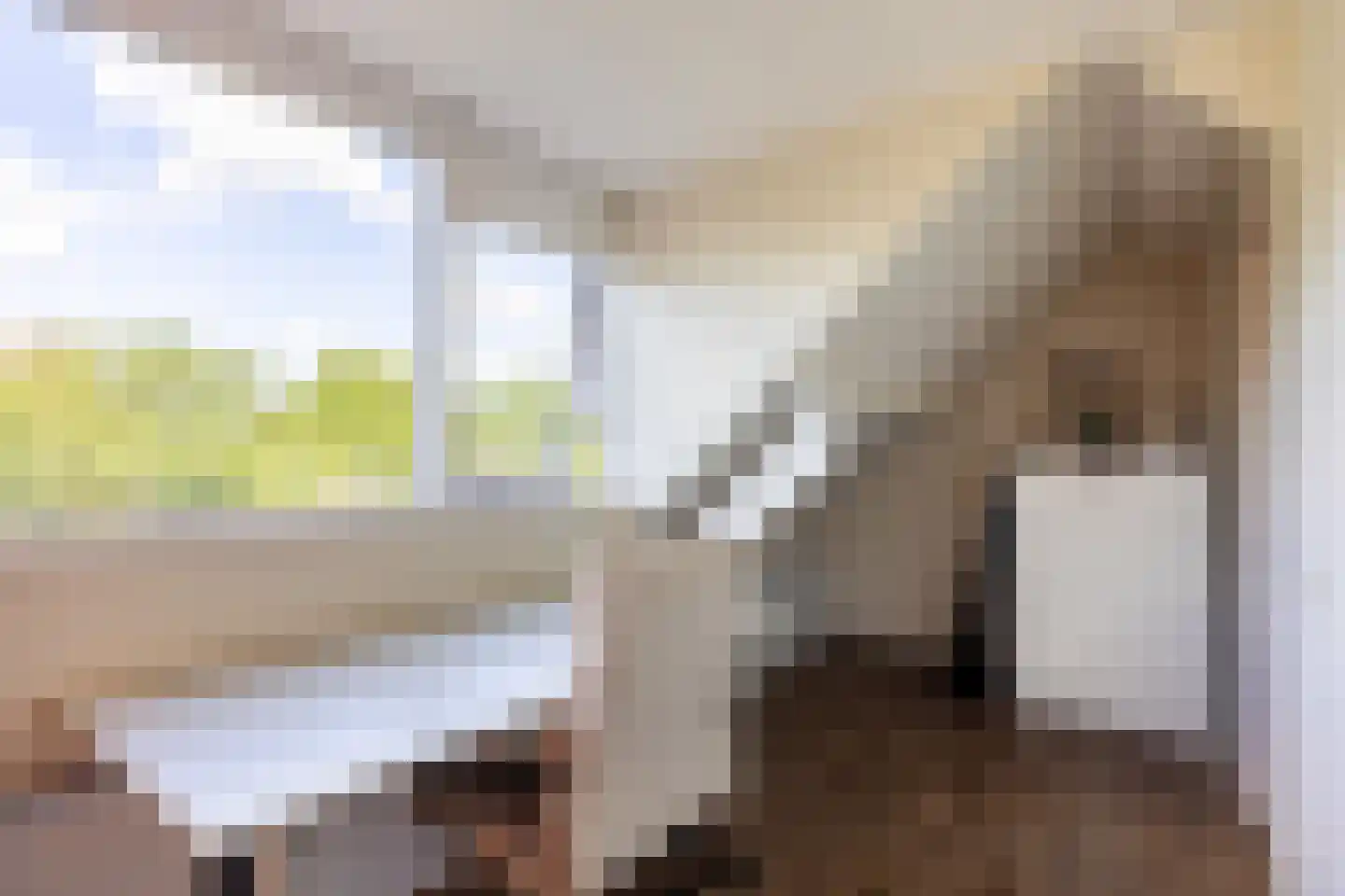 De Populieren 18 Bedum thumbnail 41