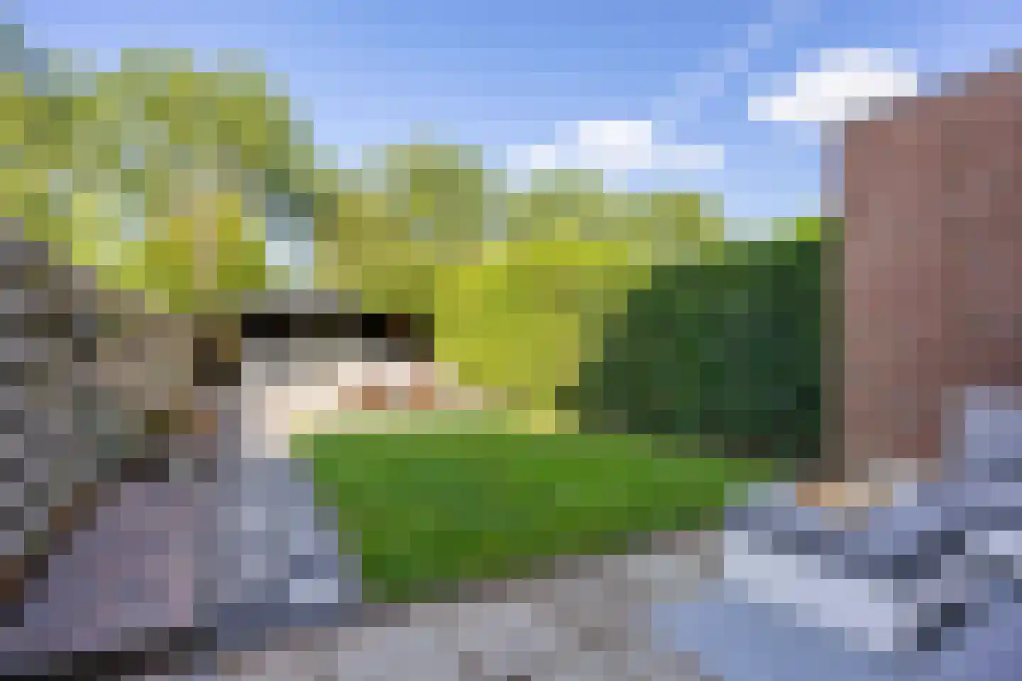 De Populieren 18 Bedum thumbnail 42