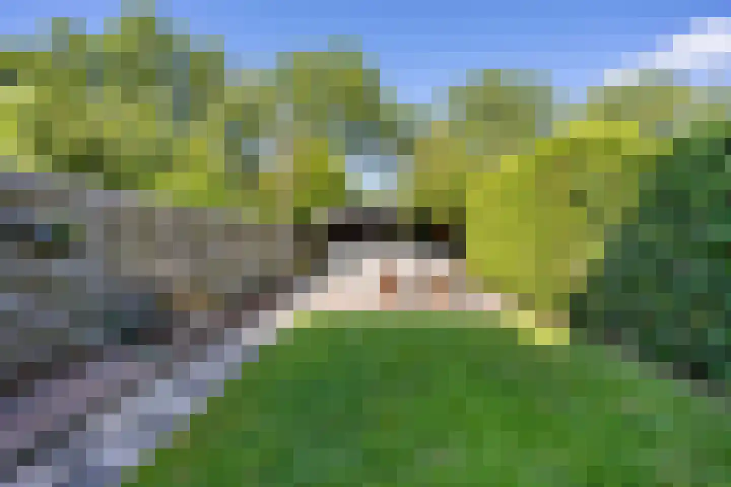De Populieren 18 Bedum thumbnail 43