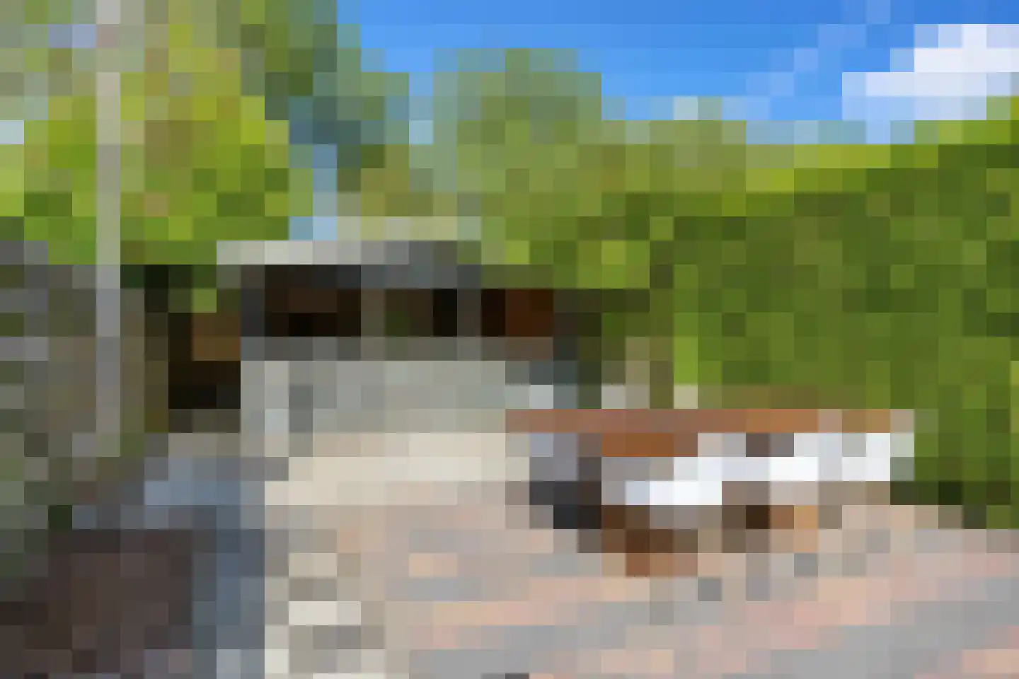 De Populieren 18 Bedum thumbnail 44