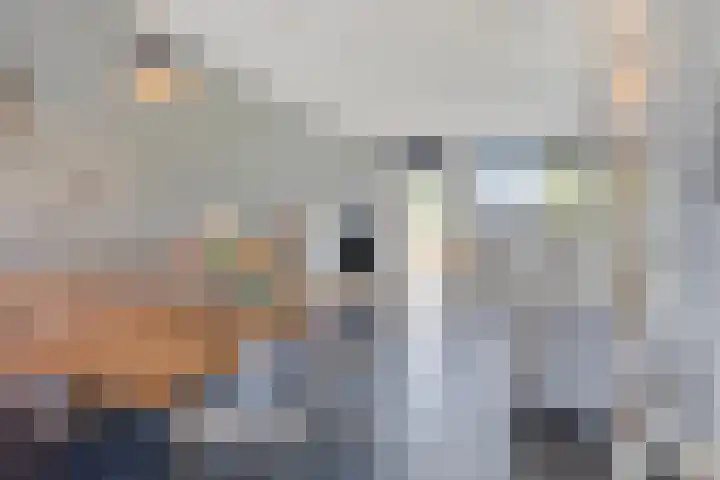 De Populieren 18 Bedum thumbnail 5